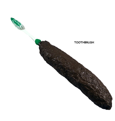 Poop Toothbrush