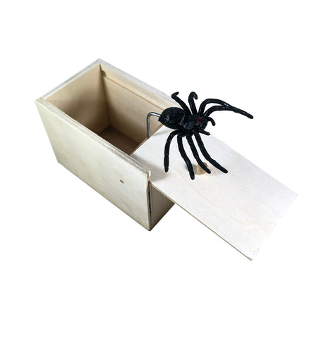 Spider in the box